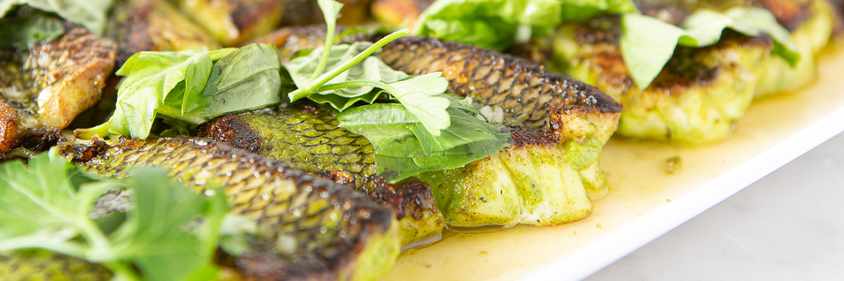 Grilled fish with fresh greens on plate.